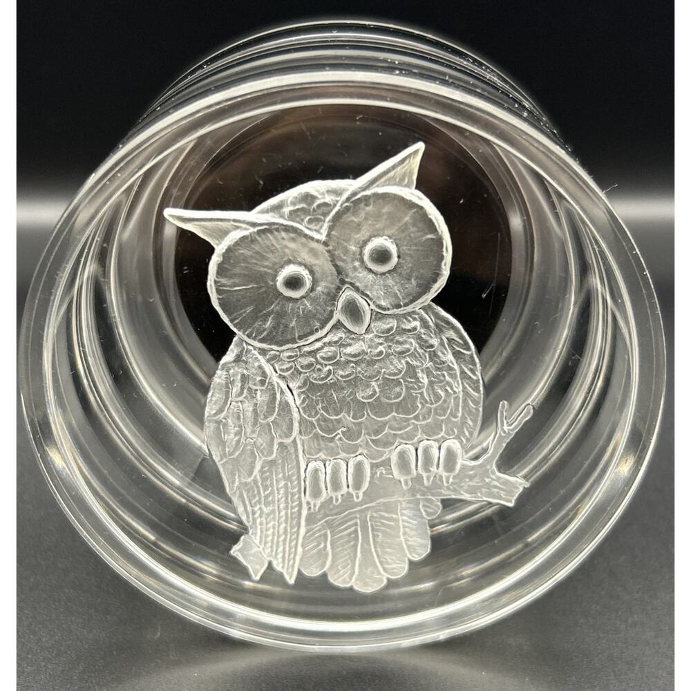 Vintage Beautiful 1960's Lucite Owl Design Clear Round Jewelry Trinket Box